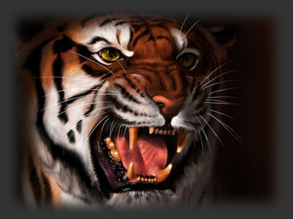 Злое лицо тигра