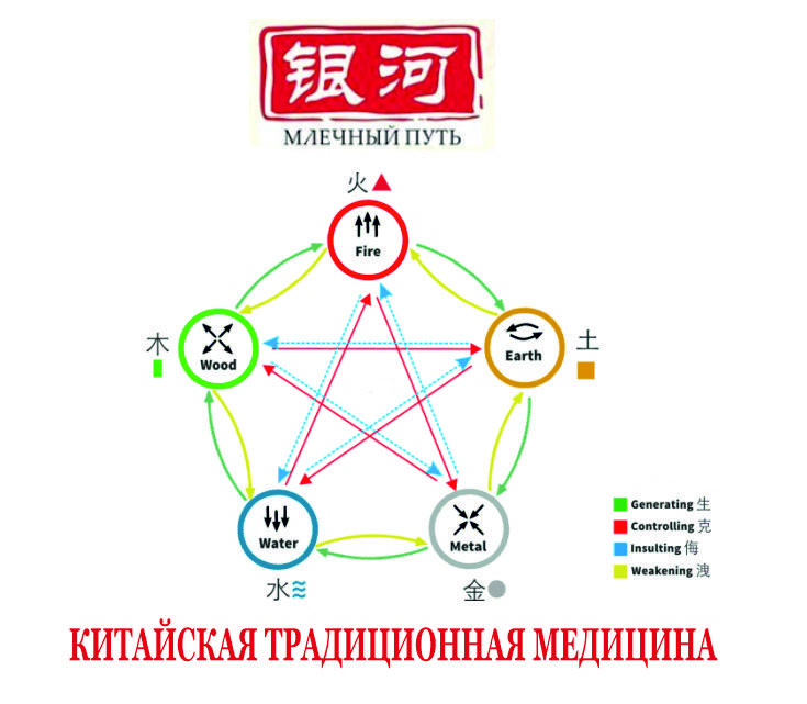 Проект китайская медицина